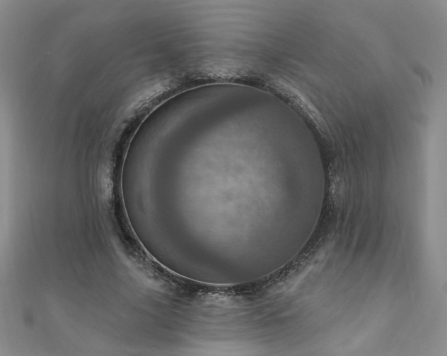 X0000110880635200906181226