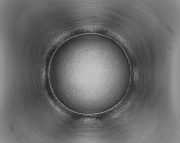 X0000110880637200906181226