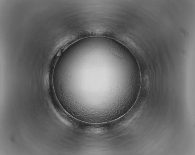X0000110880638200906181226