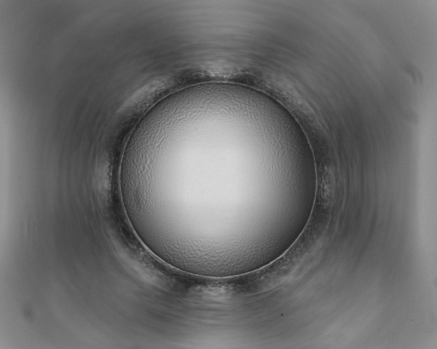 X0000110880639200906181226