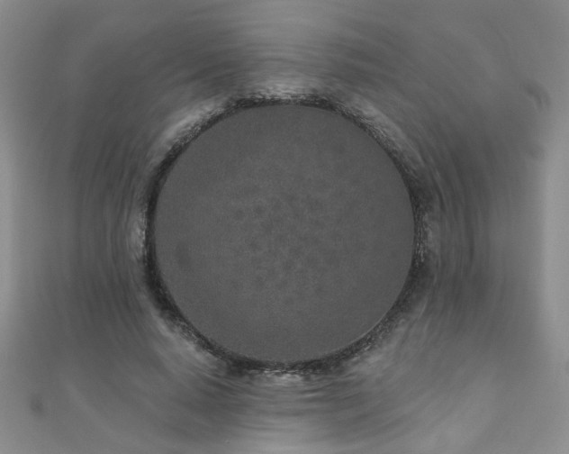 X0000110880640200906181226