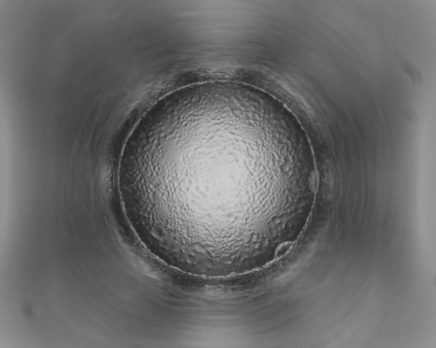 X0000110880641200906181226