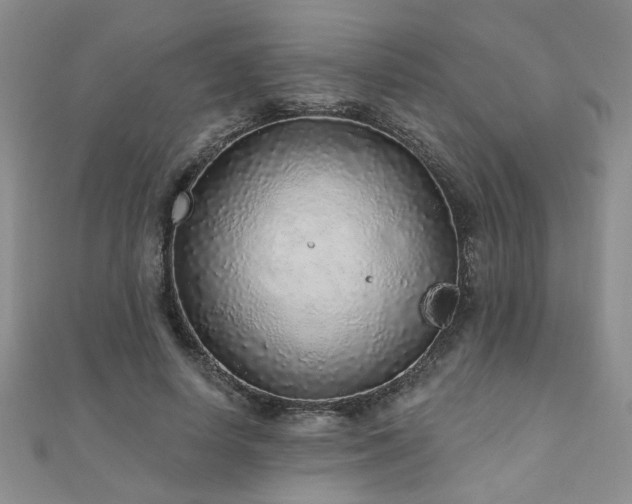 X0000110880642200906181226