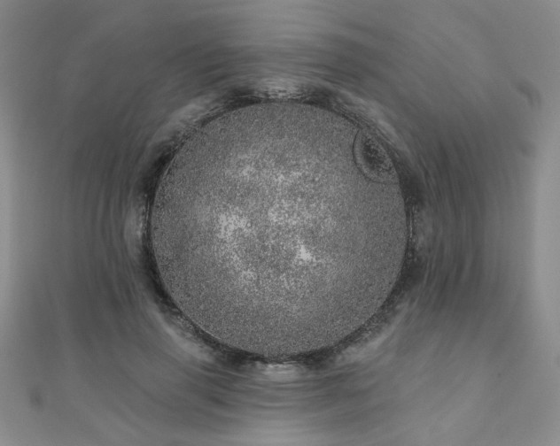 X0000110880645200906181226