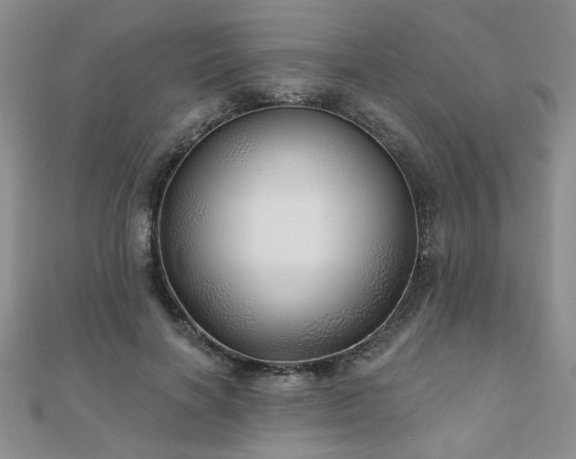 X0000110880646200906181226