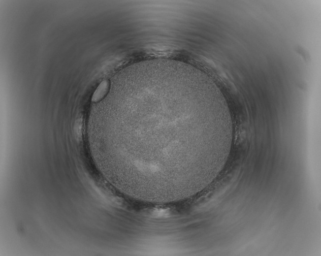 X0000110880647200906181226