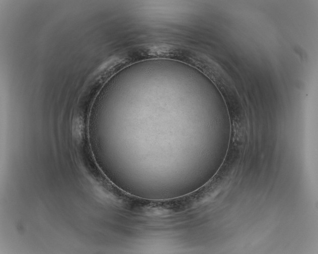 X0000110880648200906181226
