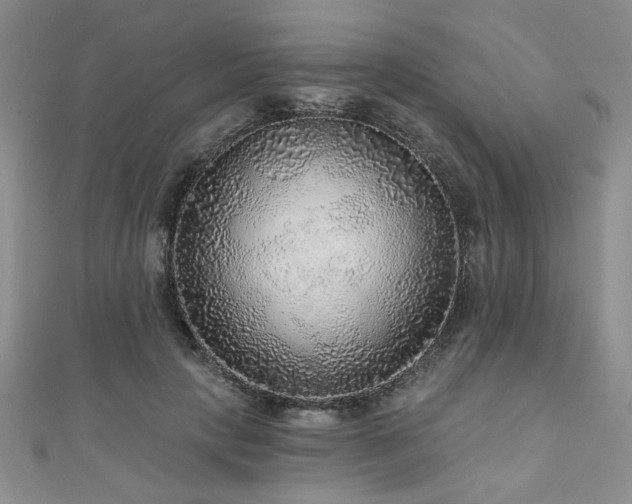 X0000110880649200906181226