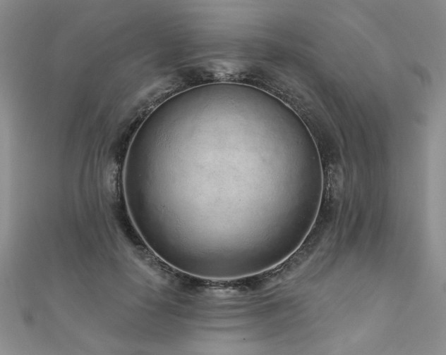 X0000110880650200906181226