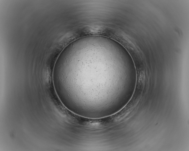 X0000110880651200906181226