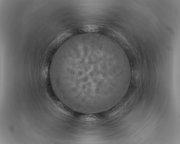 X0000110880652200906181226