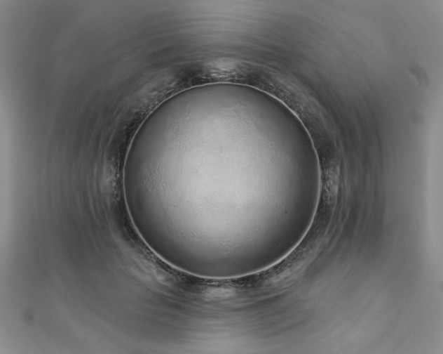 X0000110880653200906181226