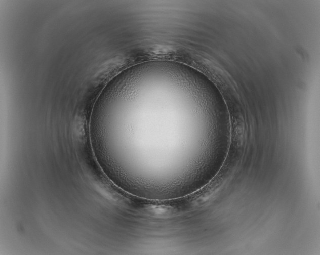 X0000110880654200906181226