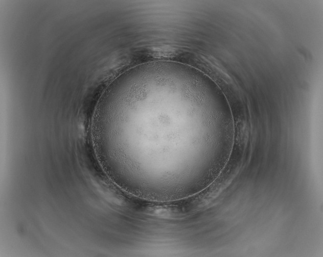 X0000110880655200906181226