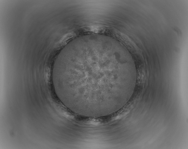 X0000110880656200906181226
