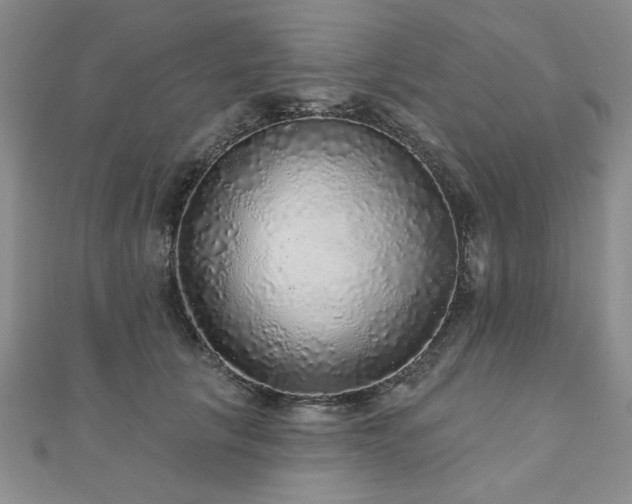 X0000110880657200906181226