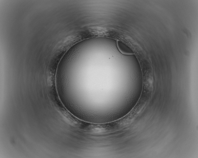 X0000110880658200906181226