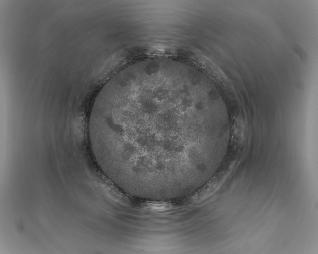 X0000110880659200906181226
