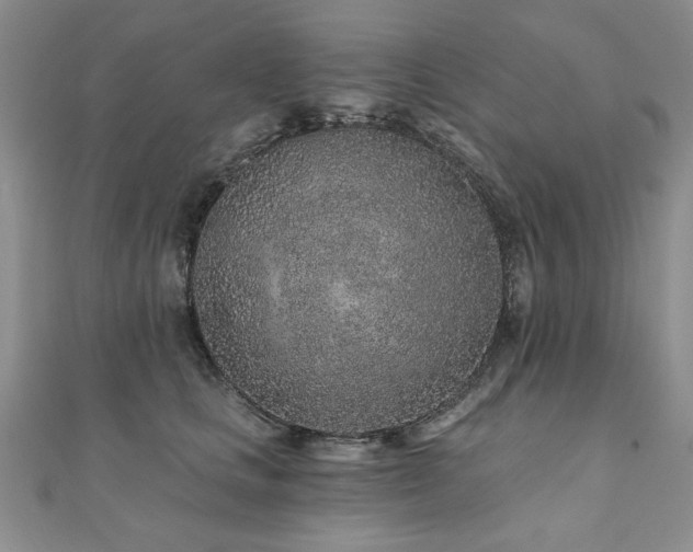 X0000110880661200906181226