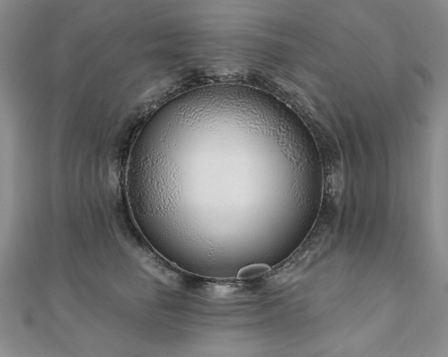 X0000110880662200906181226
