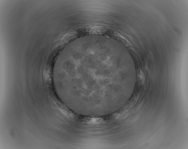 X0000110880663200906181226