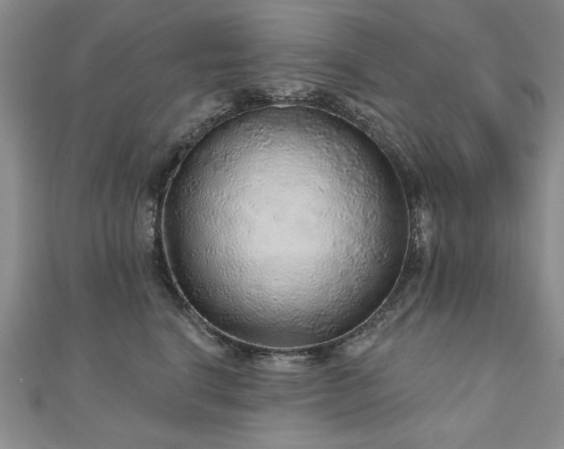 X0000110880664200906181226