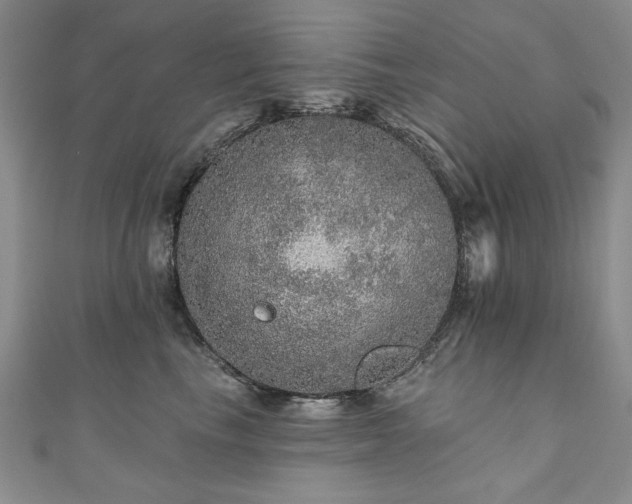 X0000110880665200906181226
