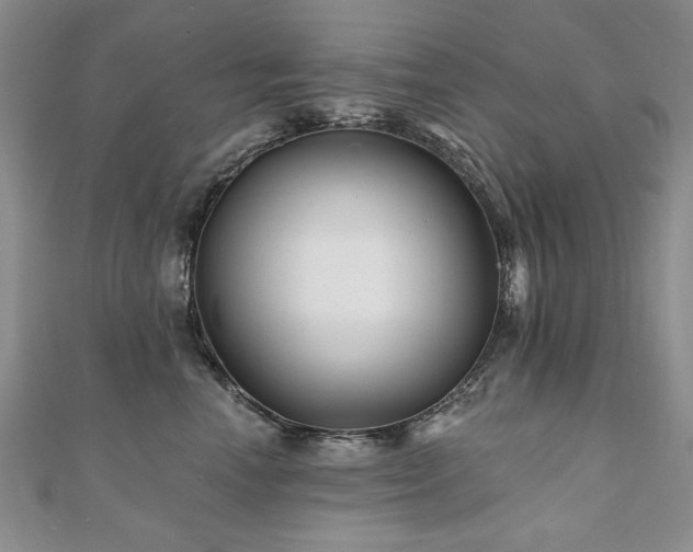X0000110880666200906181226
