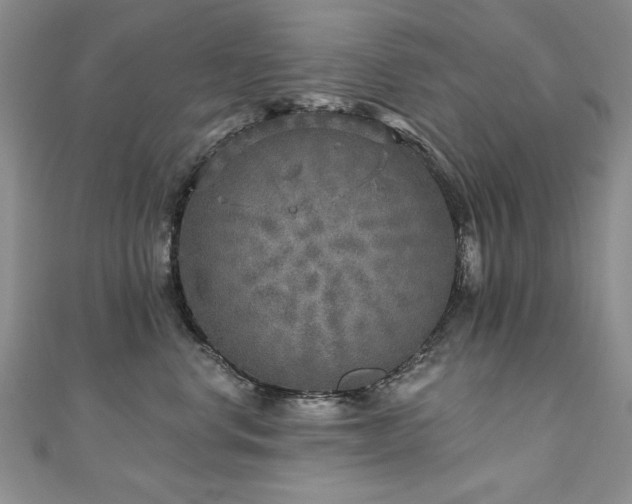 X0000110880668200906181226