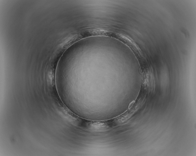 X0000110880669200906181226