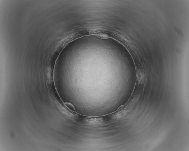 X0000110880670200906181226