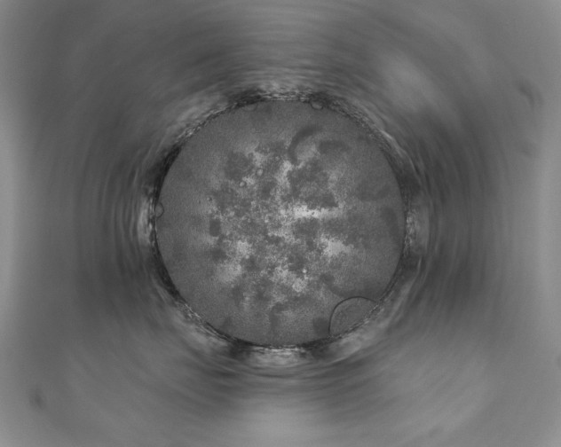 X0000110880671200906181226