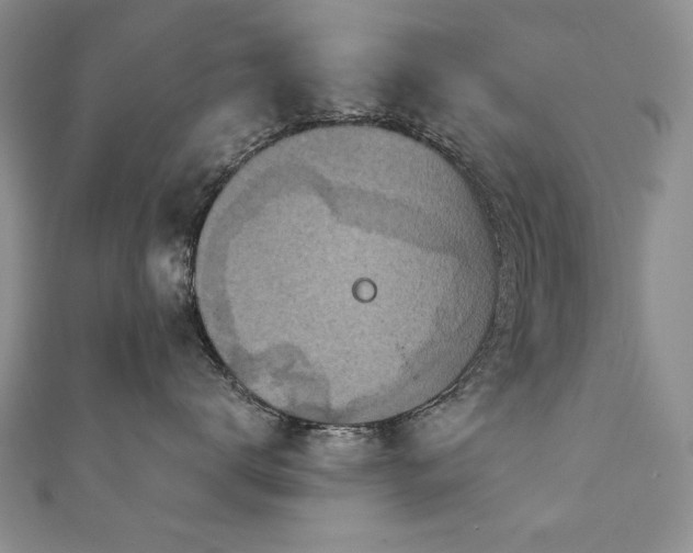 X0000110880672200906181226