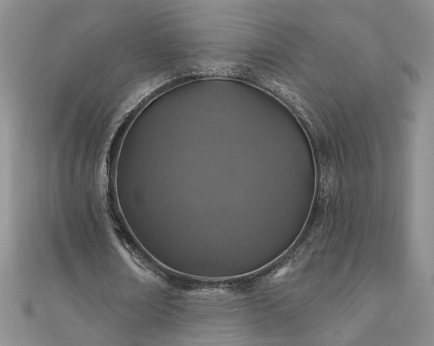 X0000110880674200906181226