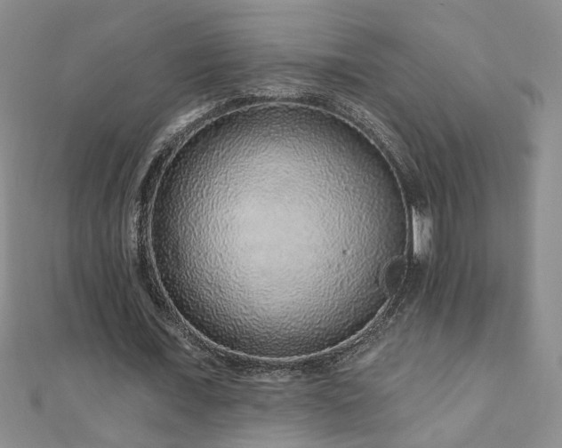 X0000110880675200906181226