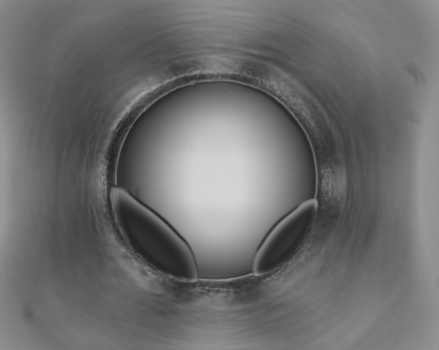 X0000110880676200906181226