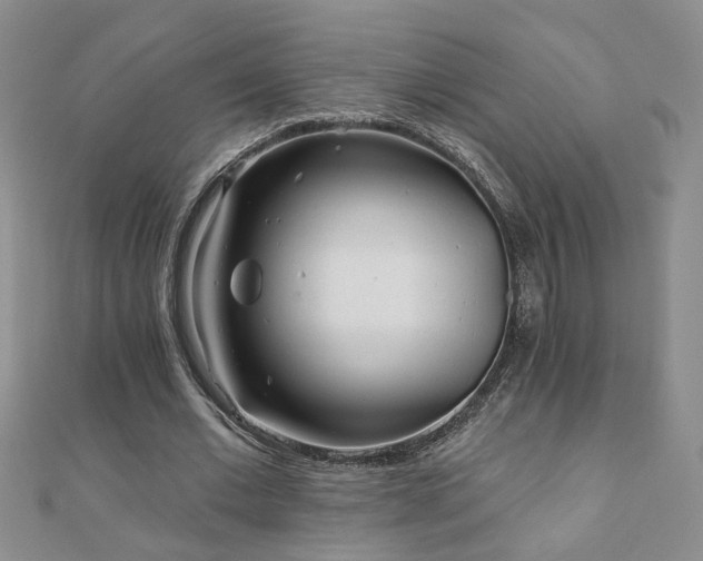X0000110880677200906181226