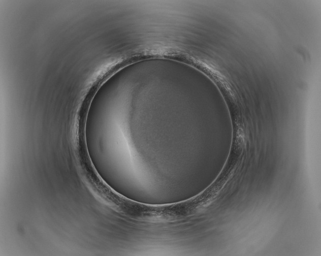 X0000110880678200906181226