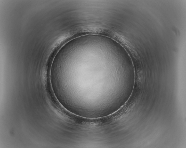 X0000110880679200906181226