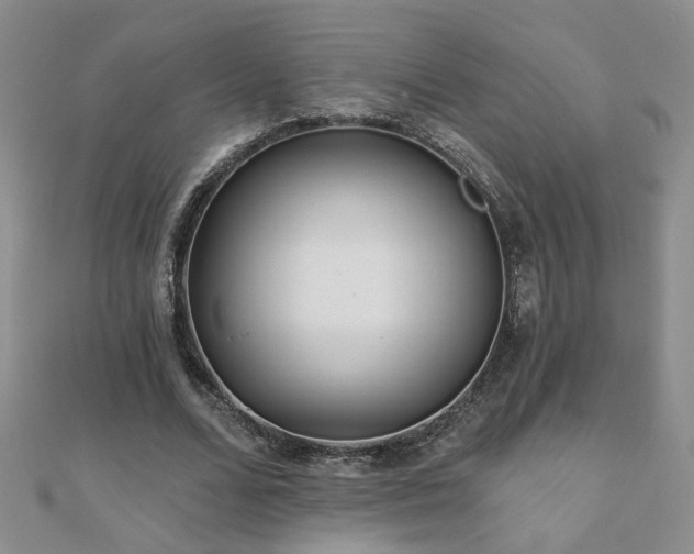X0000110880680200906181226