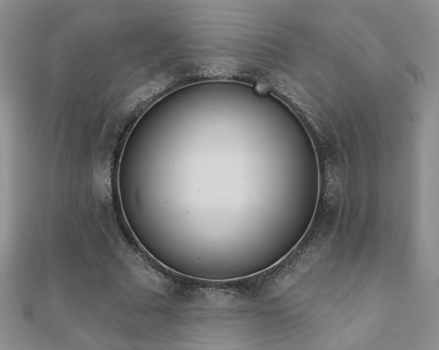 X0000110880681200906181225