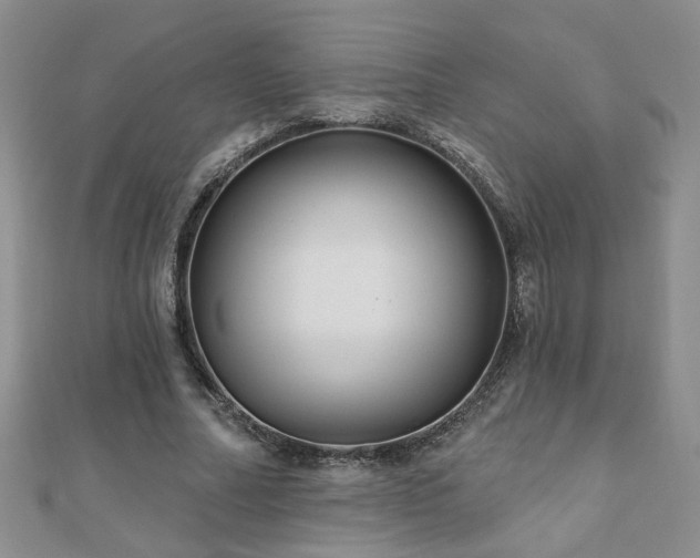 X0000110880682200906181225
