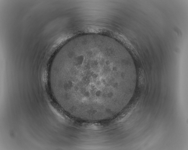 X0000110880683200906181225