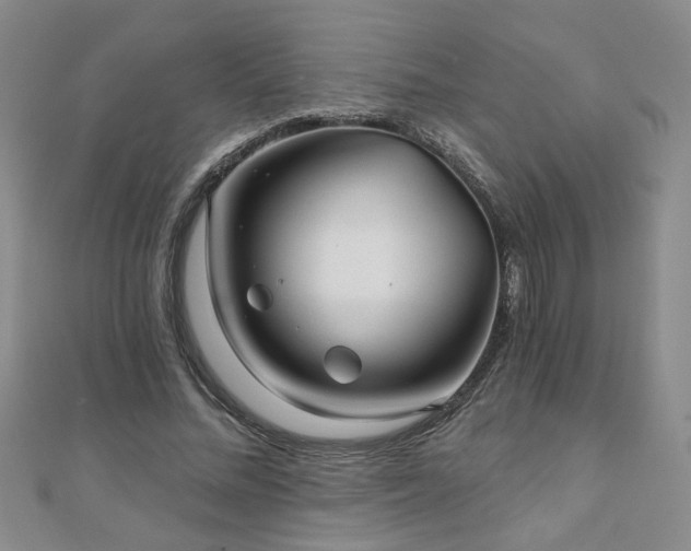 X0000110880684200906181225