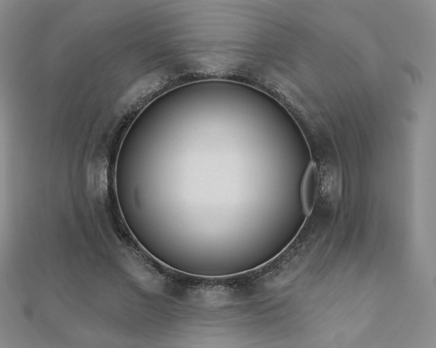 X0000110880685200906181225