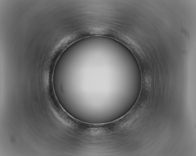 X0000110880686200906181225