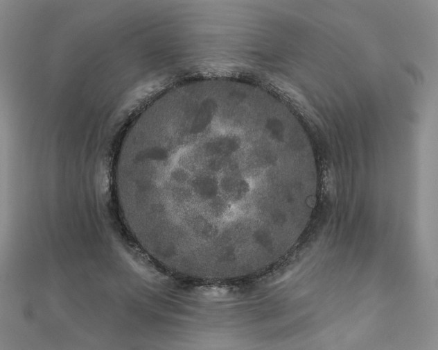 X0000110880687200906181225