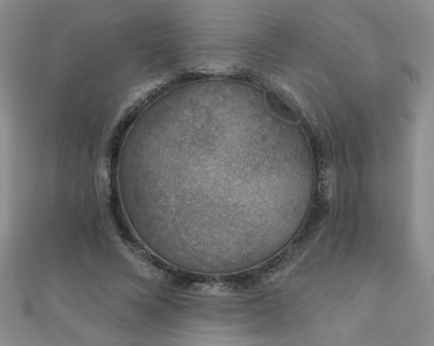 X0000110880688200906181225