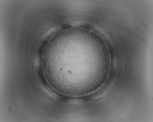 X0000110880691200906181225