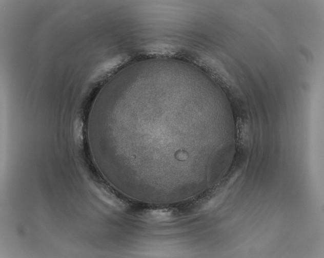 X0000110880692200906181225